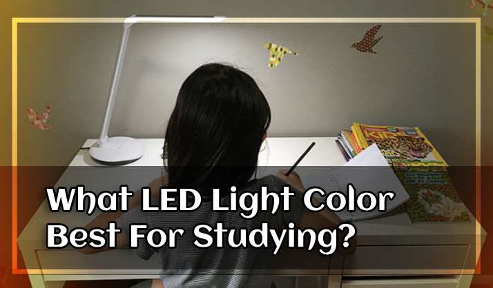 What LED Light Color is best for Studying
