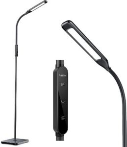 LASTAR Reading Lamp Floor Standing with Adjustable Gooseneck