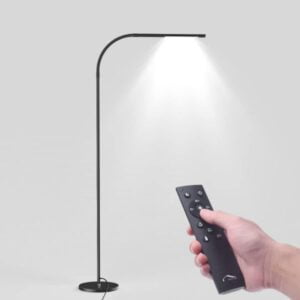 Joly Joy LED Modern Reading Floor Lamp, Touch & Remote Control